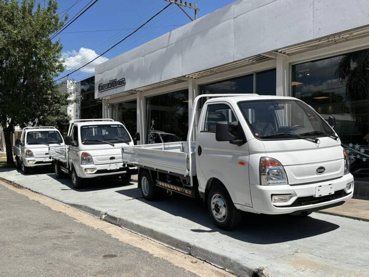 KAMA X1 CABINA SIMPLE DIESEL con CAJA DE CARGA 0Km My2025! Para 3 Toneladas. Financia Bco. Santander. Acércate a ORIO HNOS, SAN GENARO, concesionario oficial JMC, ISUZU, KAMA Camiones - Imagen 2