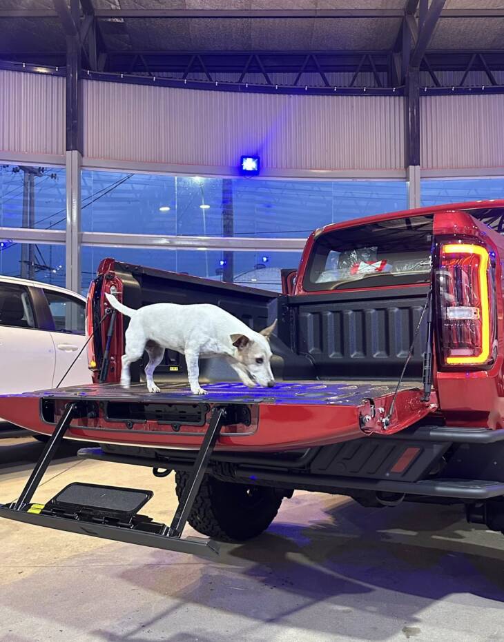 JMC GRAND AVENUE PRO A/T 4x4 DADAO NAFTERA 0Km. My2025. Financia Bco. Santander. Acércate a ORIO HNOS, SAN GENARO, concesionario oficial JMC, ISUZU, KAMA Camiones - Imagen 14