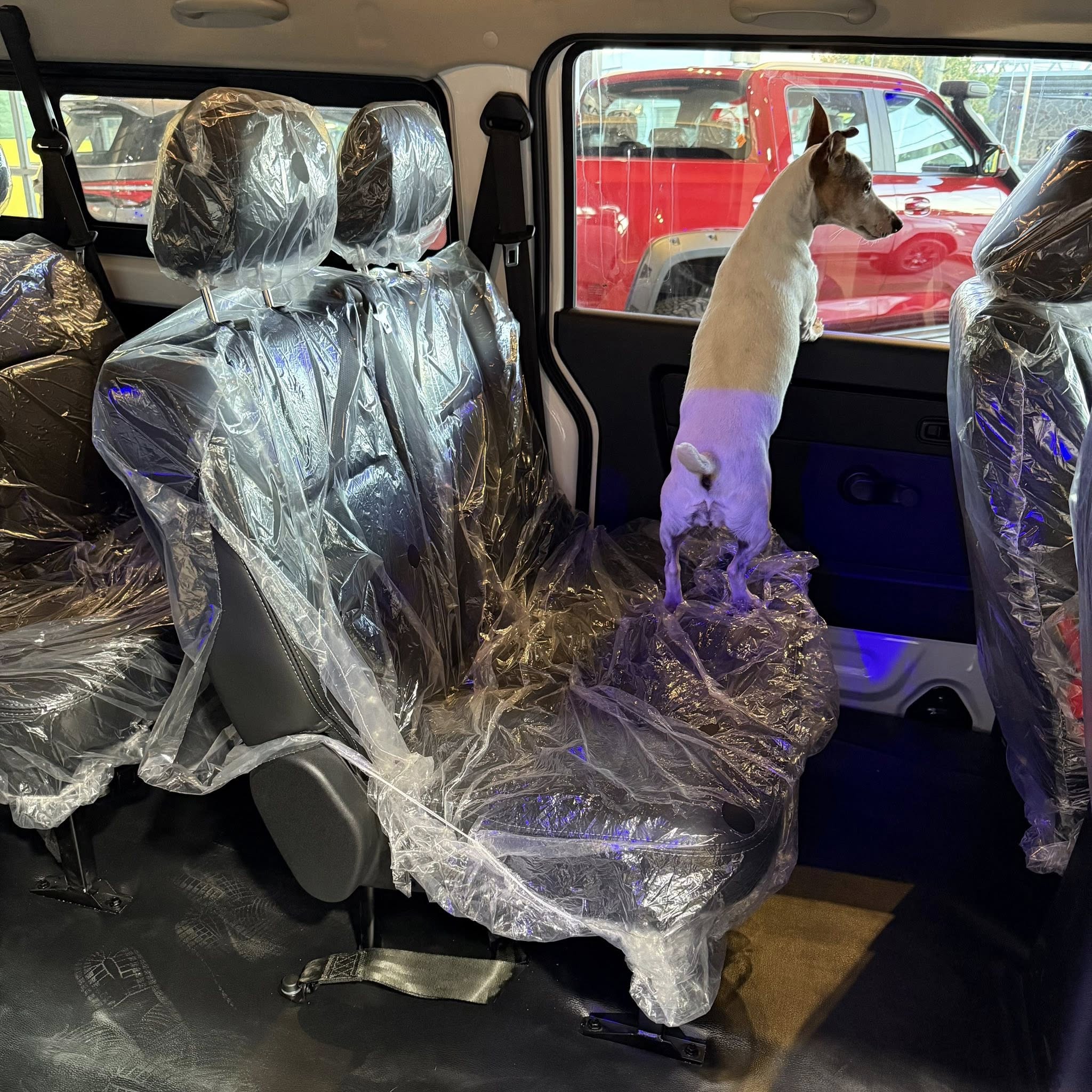 SHINERAY SRM M7 2.0 Nafta Manual 9 Pasajeros 0Km My2026 DISPONIBLE! Financia Bco. Santander. Acércate a ORIO HNOS, SAN GENARO, concesionario oficial SHINERAY, DOMY Utilitarios - Imagen 8