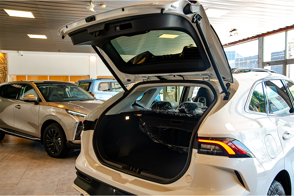 YAO_3188-scaled.jpg_0000_YAO_2550-scaled-1-1024x683.jpg_0018__DSC0800